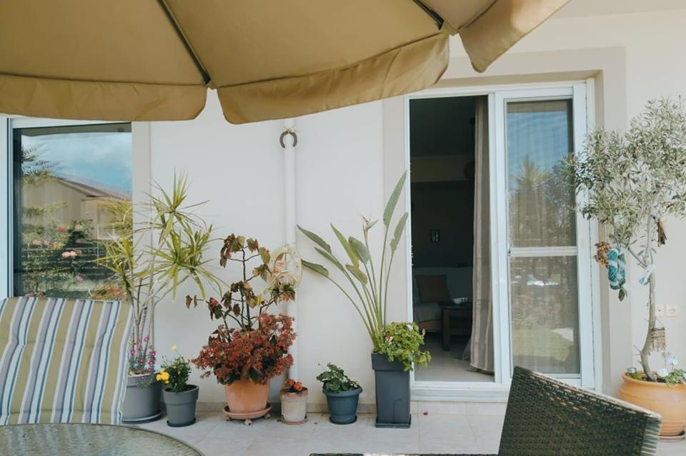 Xrysa's Garden * Missolonghi