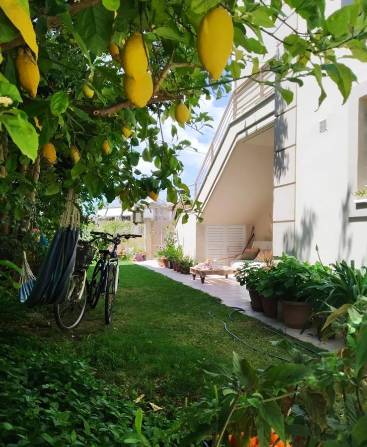 Xrysa's Garden Apartment *